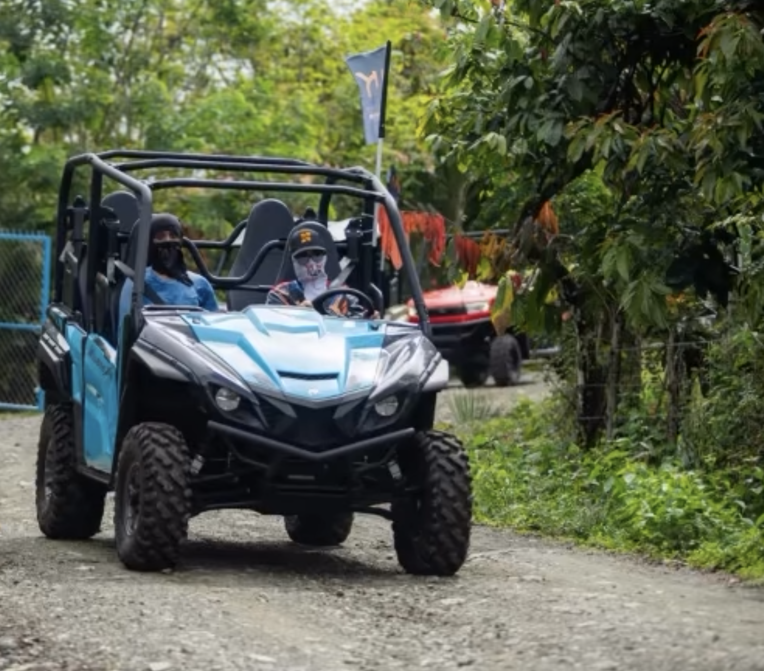 Entorno natural buggy