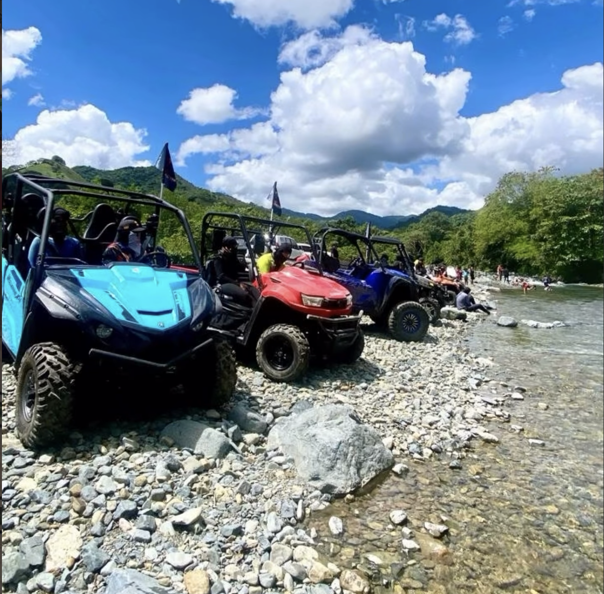 Experiencia gastronómica